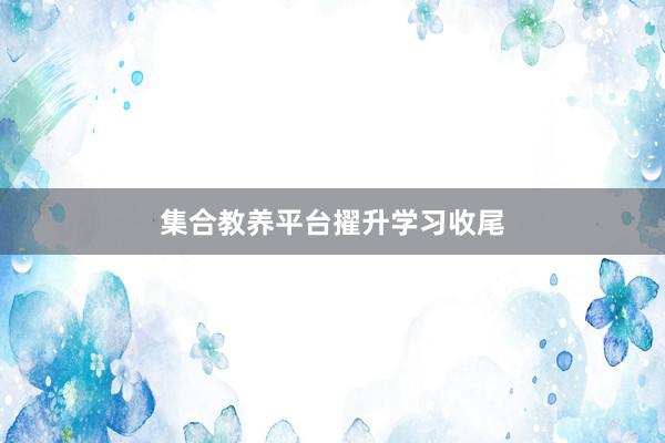 集合教养平台擢升学习收尾